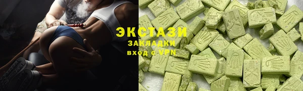 крисы Бородино